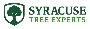 Syracuse Tree Experts